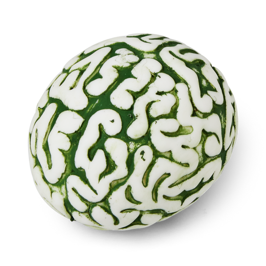 Dinosaur brain