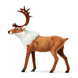 Reindeer