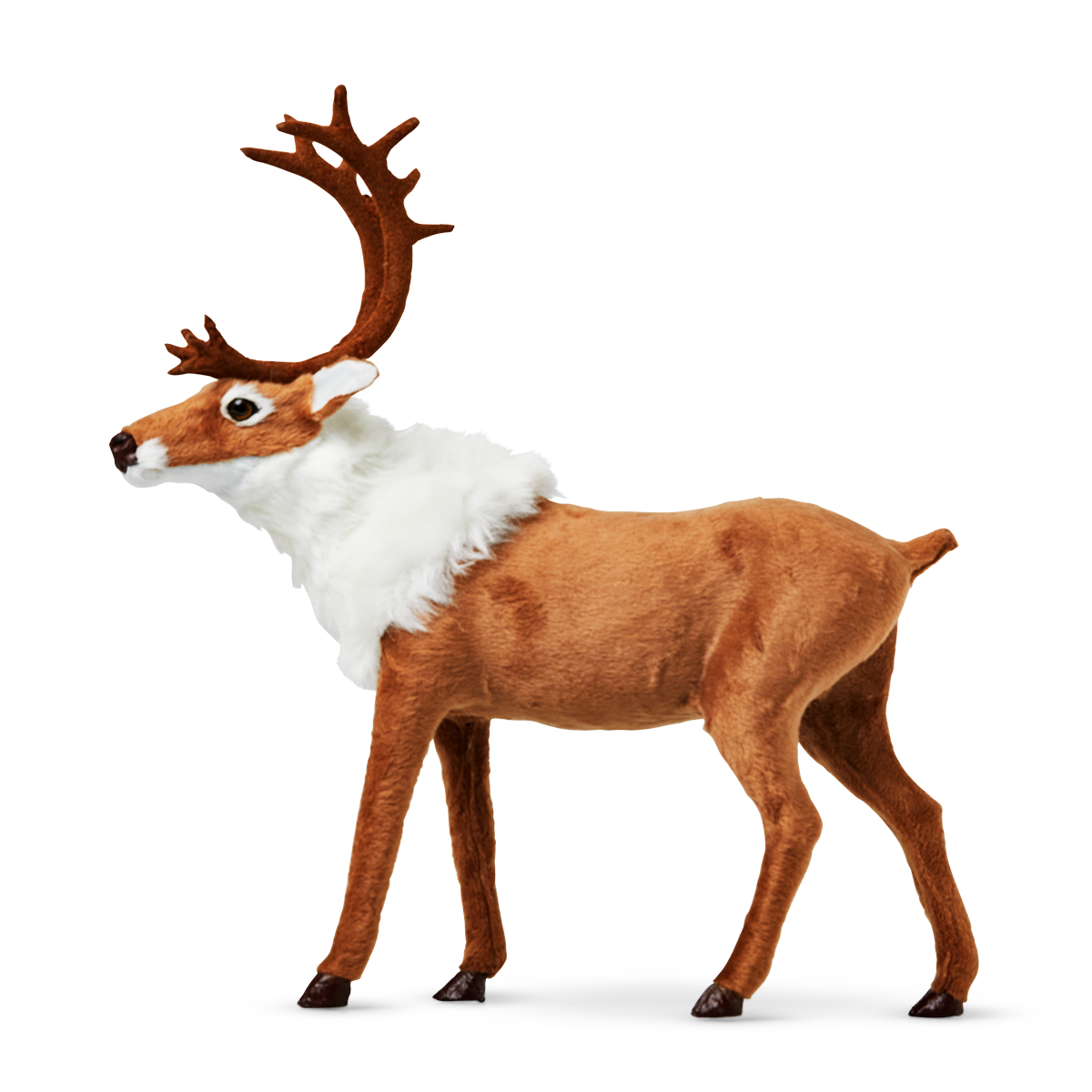 Reindeer