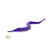 Spiralförmiger Wurm