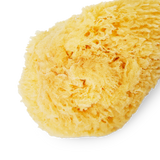 Natural sponge