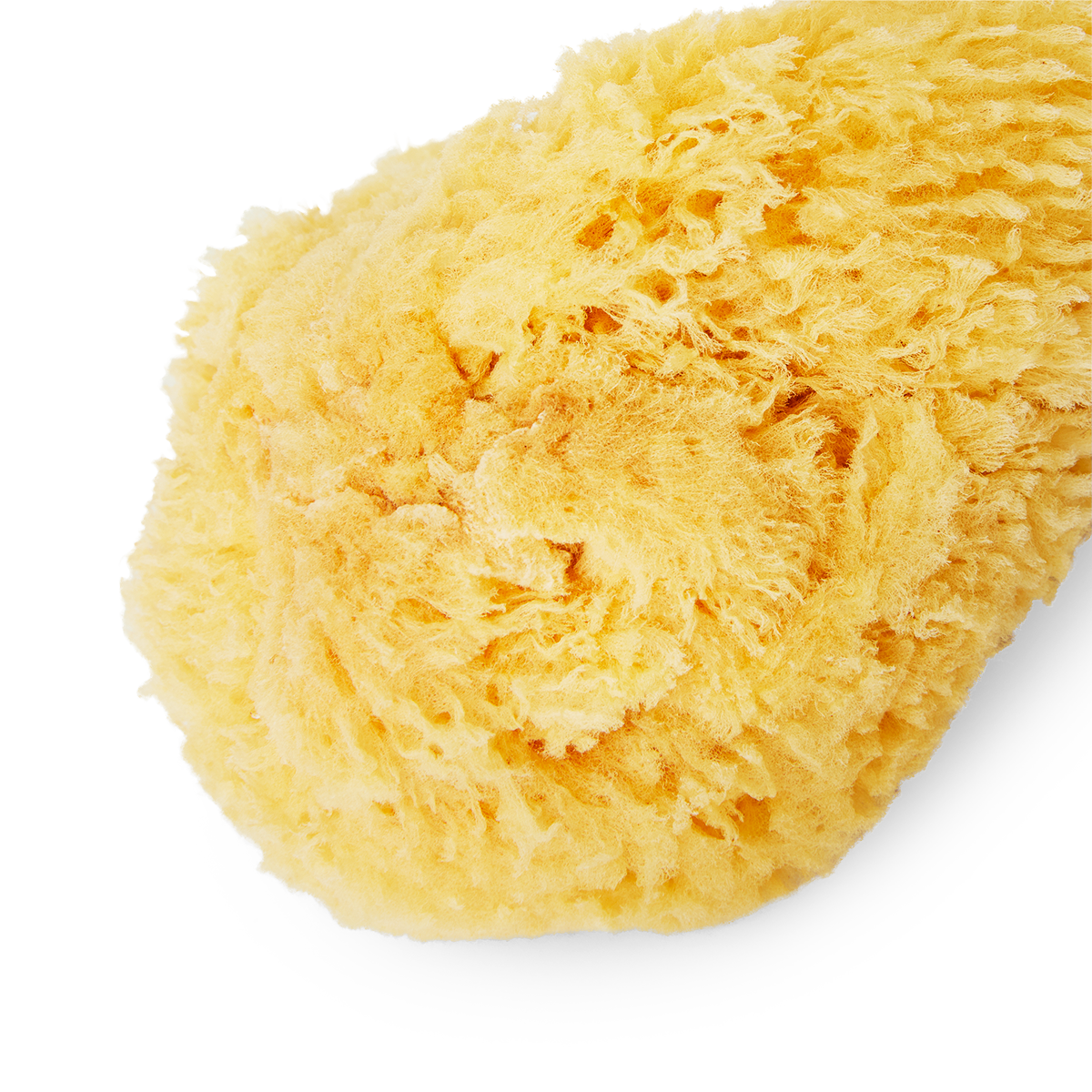Natural sponge