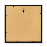 Picture frame. For LPs