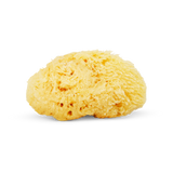Natural sponge
