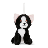 Teddy