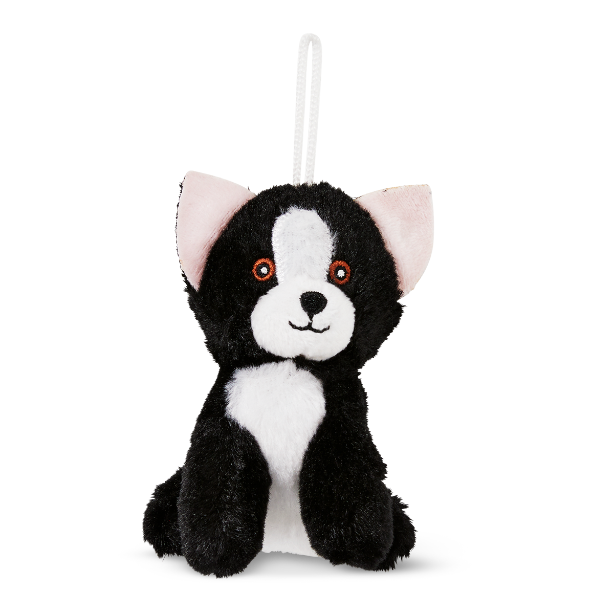 Teddy