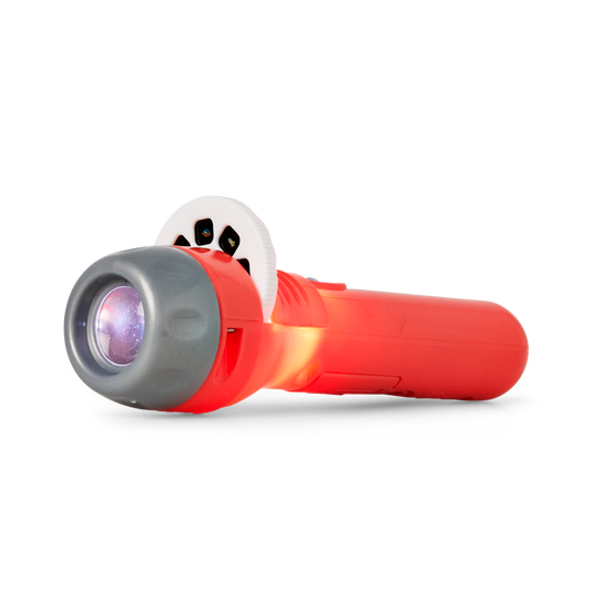 Projector torch
