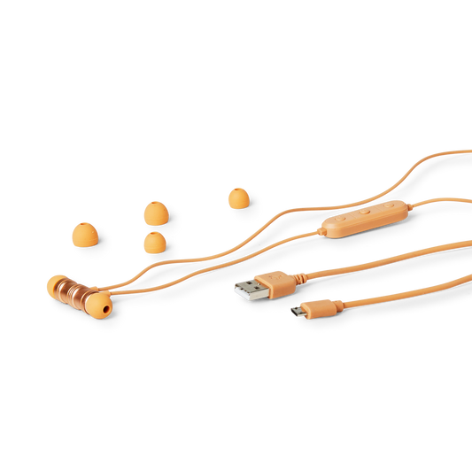 Wireless earphones
