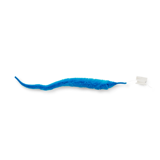 Twisty worm