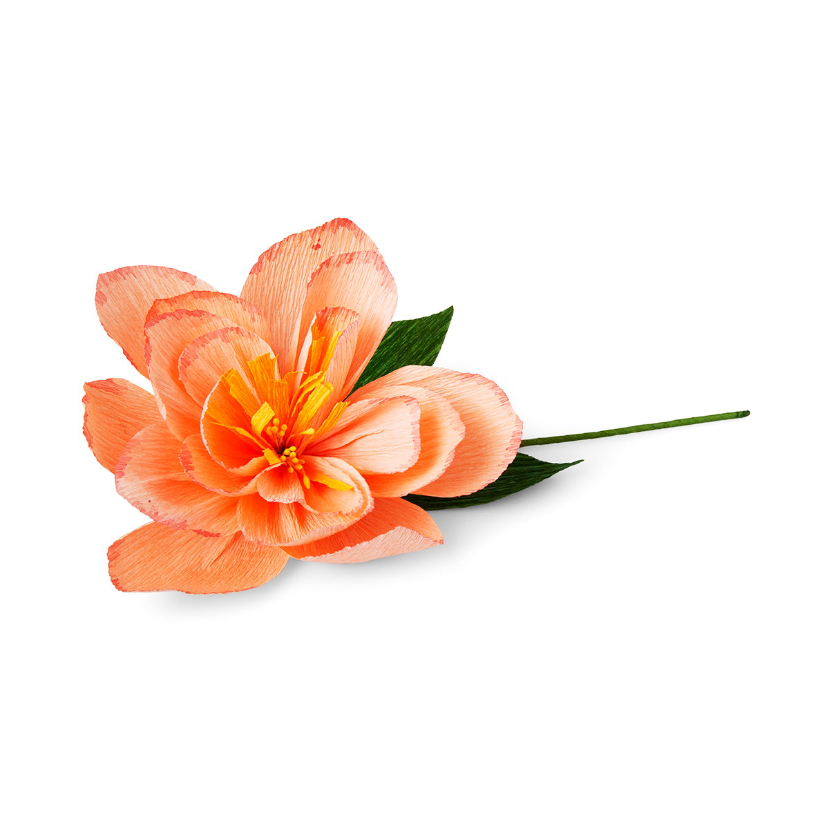 Forever flower