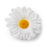 Hair slide