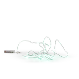 Light chain