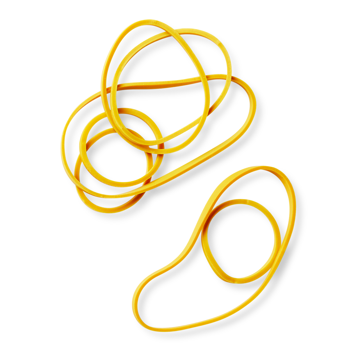 Elastic bands
