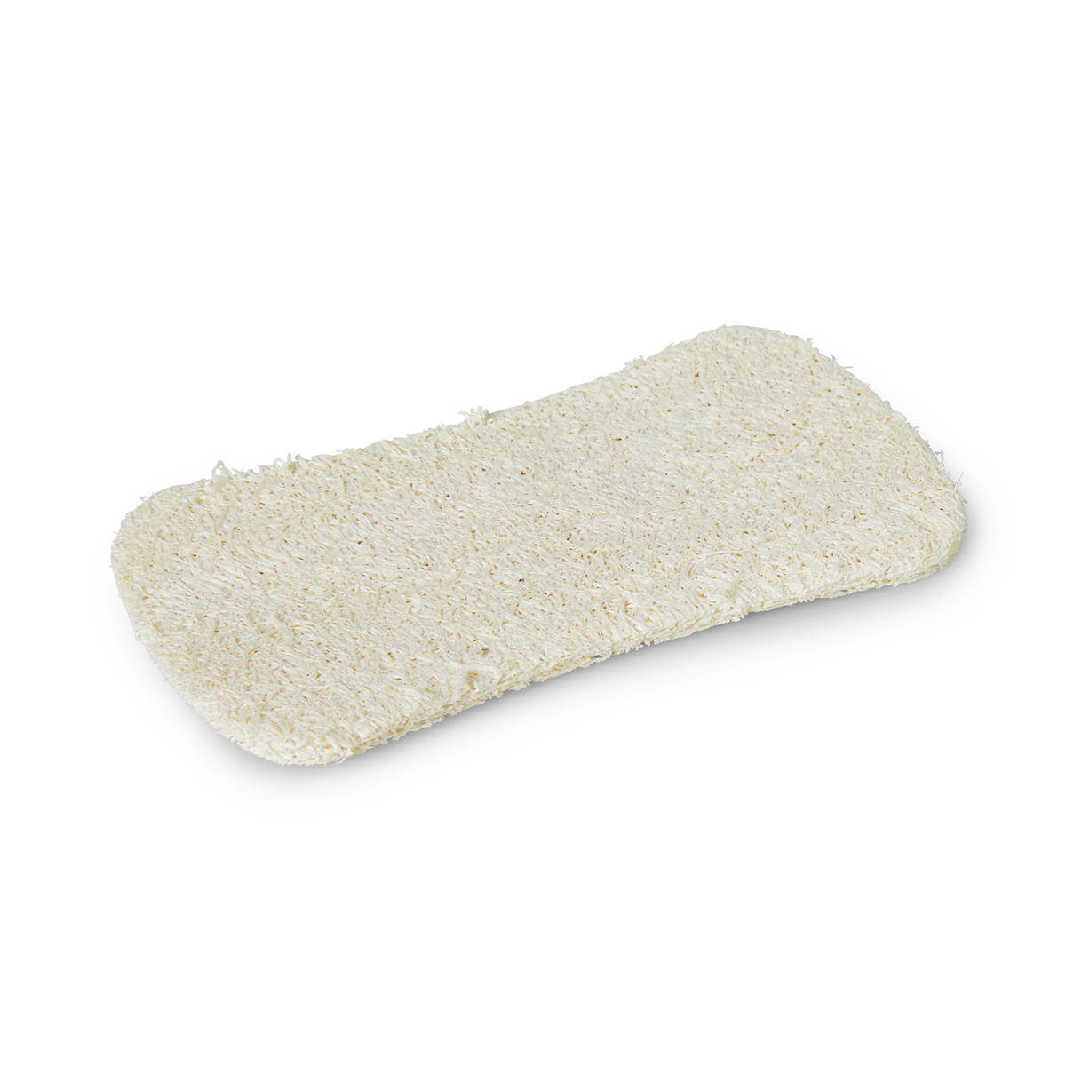 Loofah-svampe