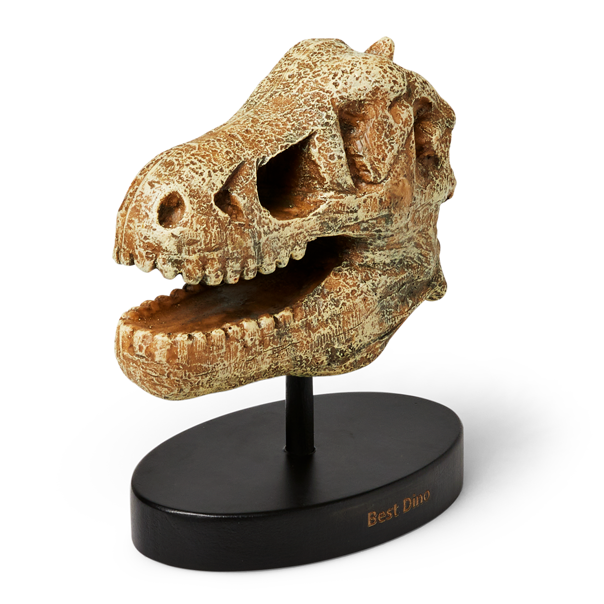 Dinosaur-trofæ
