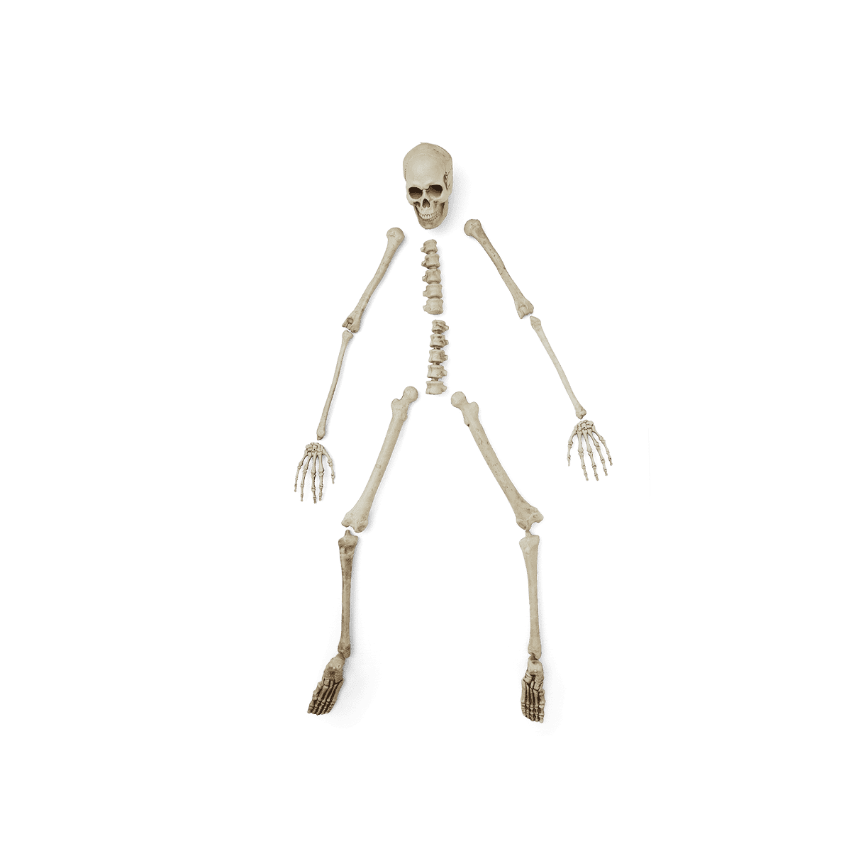 Skeleton set - DEV - Flying Tiger Copenhagen