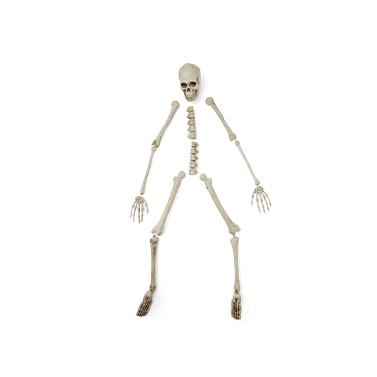 Skeleton set