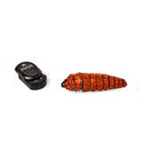 Caterpillar