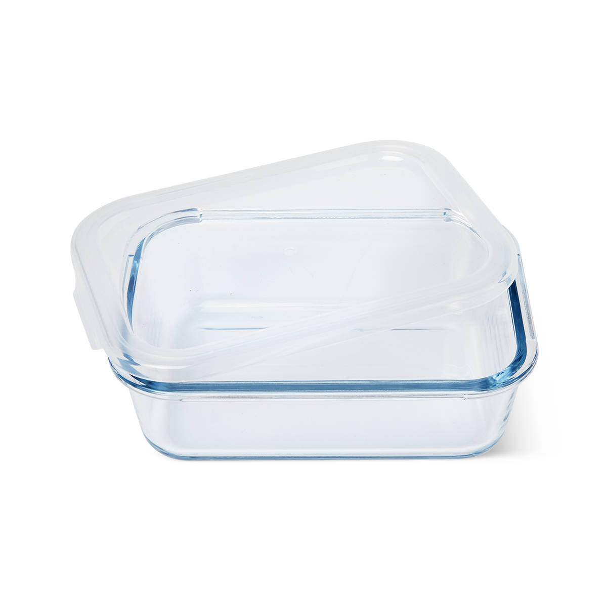 Lunch box. Large