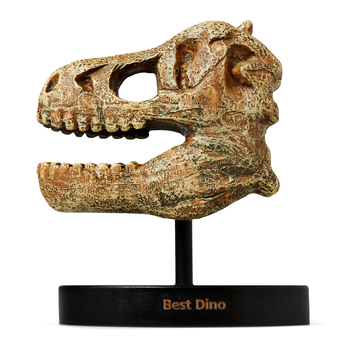 Dinosaur-trofæ